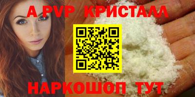 твердый Пугачёв