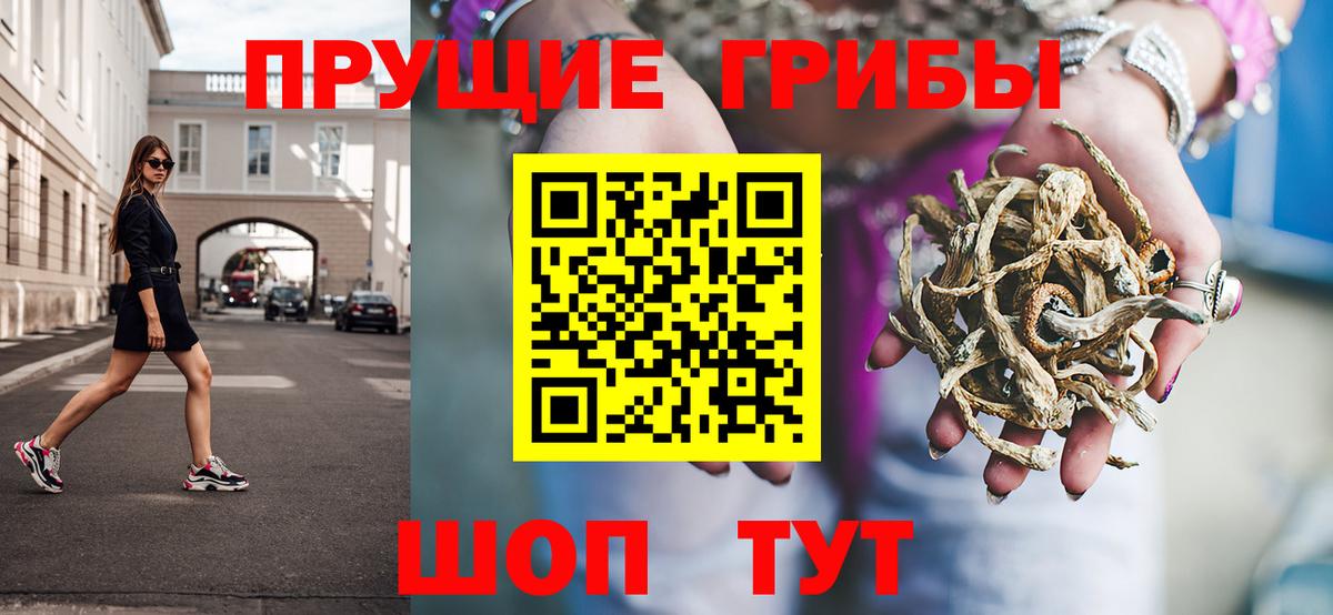 Псилоцибиновые грибы Psilocybine cubensis  Вход с VPN  Аксай 
